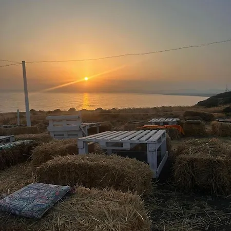 Cocciu D'amuri Porto Empedocle